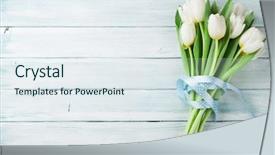  Presentation with tulips - Theme with white tulips bouquet on wooden background and a  colored foreground