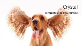  Presentation with ears - Slides featuring white very expressive dog background and a  colored foreground