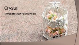  Presentation with birdcage - Colorful presentation enhanced with white vintage birdcage with pastel backdrop and a lemonade colored foreground