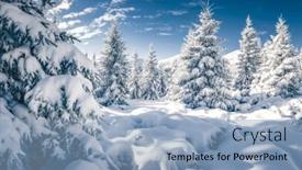  Presentation with magical - Theme featuring white-winter-spruces-in-snow background and a light blue colored foreground