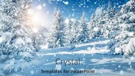  Presentation with white snow - PPT theme featuring white-winter-spruces-in-snow background and a light blue colored foreground