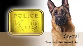  Presentation with police dog - Cool new presentation theme with white with k9 police backdrop and a coral colored foreground