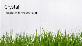  Presentation with border - Slide deck featuring white-wooden-background-with-green background and a white colored foreground