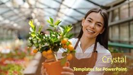  Presentation with apron - Slide set featuring white-young-woman-wearing-apron background and a red colored foreground