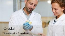  Presentation with poultry farm - Theme having whitecoats working in poultry background and a mint green colored foreground