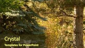  Presentation with lawn maintenance - Audience pleasing slides consisting of whitetail fawn on a lawn backdrop and a  colored foreground