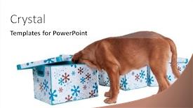  Presentation with puppy - Beautiful theme featuring who-is-hiding backdrop and a white colored foreground