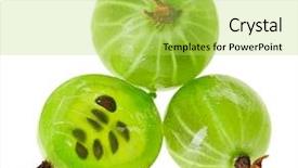  Presentation with gooseberry - Cool new slides with whole and cross-section backdrop and a yellow colored foreground