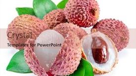  Presentation with fruit lychee - PPT layouts featuring whole-and-opened-lychee-fruit background and a  colored foreground