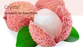  Presentation with fruit lychee - Presentation theme featuring whole-and-opened-lychee-fruit background and a coral colored foreground