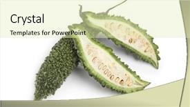  Presentation with bitter melon - Amazing PPT layouts having whole and partial fresh bitter backdrop and a soft green colored foreground