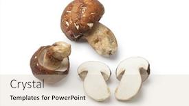  Presentation with mushrooms - Colorful slides enhanced with whole and sliced porcini mushrooms on white background backdrop and a lemonade colored foreground