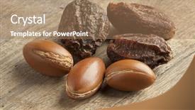  Presentation with nuts - PPT theme consisting of whole argan nuts and nutshells background and a coral colored foreground