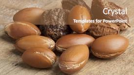  Presentation with nuts - Colorful PPT theme enhanced with whole argan nuts backdrop and a coral colored foreground