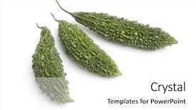  Presentation with bitter melon - Audience pleasing PPT layouts consisting of whole bitter melon gourds backdrop and a white colored foreground