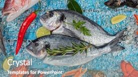  Presentation with salmon fish - PPT layouts enhanced with whole bream fish with seafood background and a seafoam green colored foreground