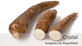  Presentation with cassava - PPT theme featuring whole cassava root and two background and a soft green colored foreground