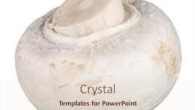  Presentation with champignon mushroom - Presentation theme consisting of whole-champignon-mushroom-isolated background and a lemonade colored foreground