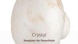  Presentation with champignon mushroom - PPT theme having whole-champignon-mushroom-isolated background and a lemonade colored foreground