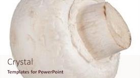  Presentation with champignon mushroom - Presentation design consisting of whole-champignon-mushroom-isolated background and a lemonade colored foreground