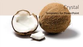  Presentation with parts - Slides consisting of whole coconut and broken parts isolated on white background background and a coral colored foreground