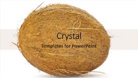  Presentation with coconut - Slide deck having whole coconut on white background background and a gold colored foreground