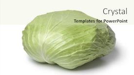  Presentation with cabbage - Amazing PPT theme having whole coolwrap cabbage on white backdrop and a soft green colored foreground