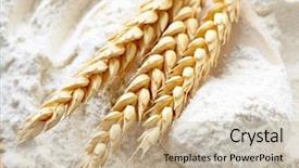  Presentation with whole wheat flour - Presentation theme enhanced with whole flour and wheat ears background and a mint green colored foreground