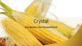  Presentation with tea leaves fresh green leaf - Beautiful PPT layouts featuring whole foods - fresh an ear of corn backdrop and a  colored foreground