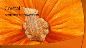  Presentation with pumpkin seeds as pumpkin - Amazing presentation design having whole foods - pumpkin close-up backdrop and a gold colored foreground