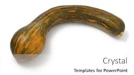  Presentation with coconut shell fresh whole - Amazing PPT layouts having whole-fresh-raw-long-neck backdrop and a white colored foreground