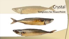  Presentation with fishes - Beautiful theme featuring whole fresh steamed and smoked mackerel fishes isolated on white background backdrop and a lemonade colored foreground