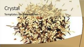  Presentation with rice grain - Amazing PPT theme having whole grain brown rice backdrop and a lemonade colored foreground