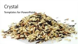  Presentation with rice grain - PPT layouts featuring whole grain brown rice background and a white colored foreground