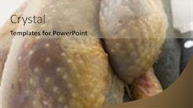  Presentation with airport boarding board - Presentation theme with whole-guinea-fowl background and a soft green colored foreground