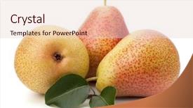  Presentation with pear - Beautiful presentation featuring whole health - pear fruits isolated on white backdrop and a  colored foreground