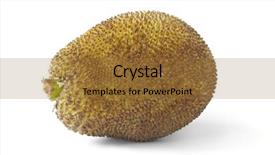  Presentation with fruit - Colorful theme enhanced with whole jack fruit backdrop and a gold colored foreground
