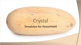  Presentation with melon - PPT theme consisting of whole-melon-isolated-on-white background and a lemonade colored foreground