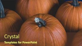  Presentation with orange - Slides consisting of whole-orange-pumpkins-dark-background background and a tawny brown colored foreground