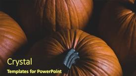  Presentation with orange - Presentation theme featuring whole-orange-pumpkins-dark-background and a wine colored foreground