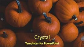  Presentation with orange - Slides having whole-orange-pumpkins-dark-background background and a tawny brown colored foreground