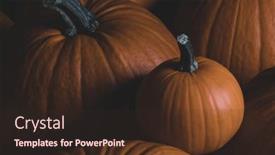  Presentation with orange - Slide set with whole-orange-pumpkins-dark-background and a wine colored foreground