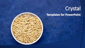  Presentation with oat - PPT theme enhanced with whole organic oat groats - top background and a ocean colored foreground