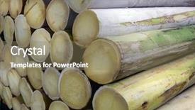  Presentation with hearts - Cool new theme with whole palm hearts backdrop and a coral colored foreground