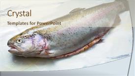  Presentation with trout - Cool new PPT layouts with whole rainbow trout on cooking backdrop and a lemonade colored foreground