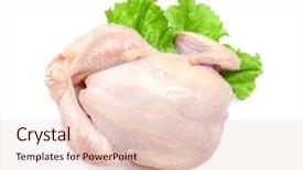  Presentation with chicken - Slide set featuring whole raw chicken on white background and a lemonade colored foreground