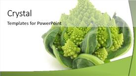  Presentation with brassica juncea - PPT theme enhanced with whole romanesco broccoli brassica oleracea background and a white colored foreground