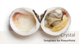  Presentation with dog - Cool new PPT theme with single cooked open dog cockle backdrop and a soft green colored foreground