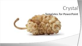  Presentation with white mulberry - Colorful presentation theme enhanced with whole single dried mulberry isolated on white background backdrop and a white colored foreground