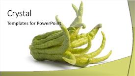  Presentation with fruit - Slides enhanced with whole single fingered citron fruit on white background background and a white colored foreground